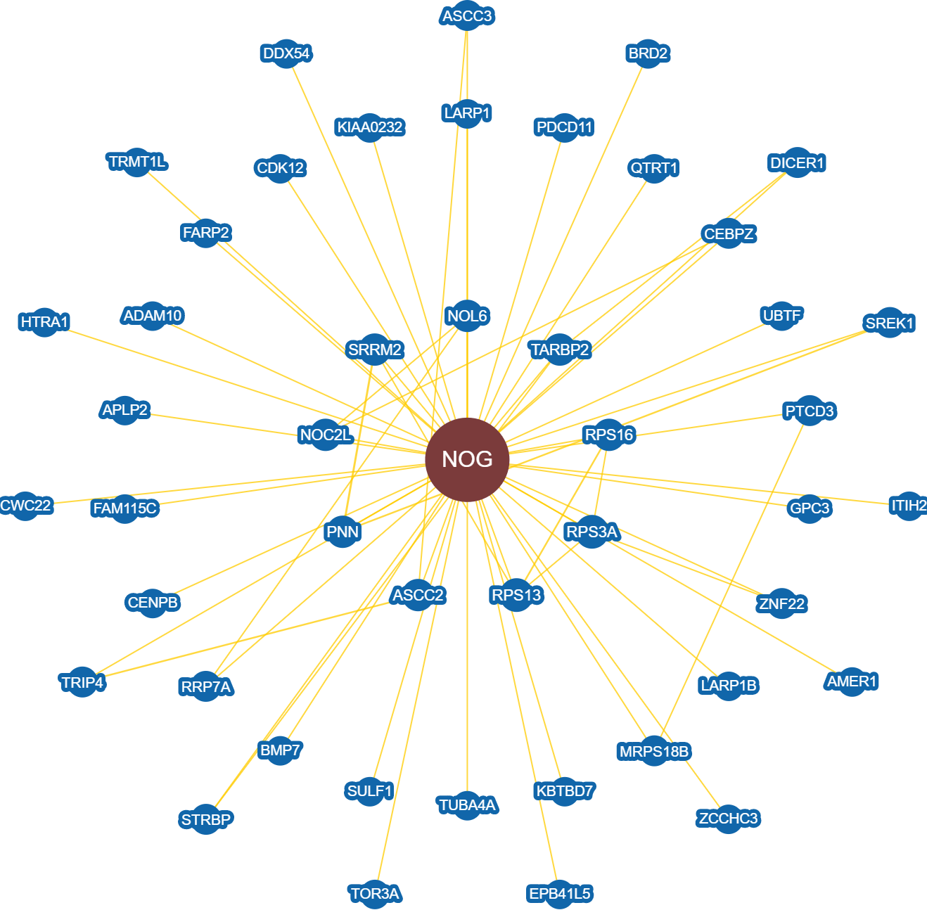 Noggin Is Suspected Of Inhibiting Bmps And Being A (1318x1294), Png Download