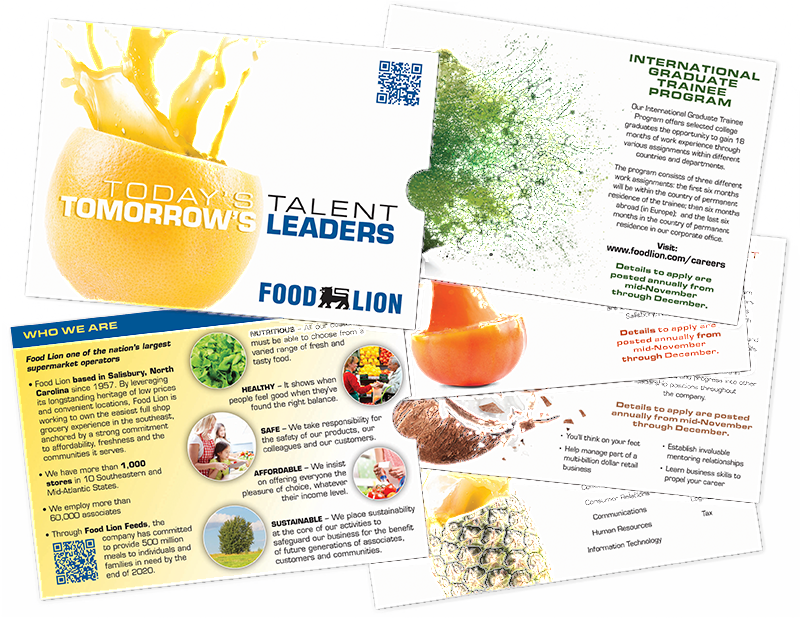 Recruitmentgallery Foodlion Sleevebrochure (800x618), Png Download