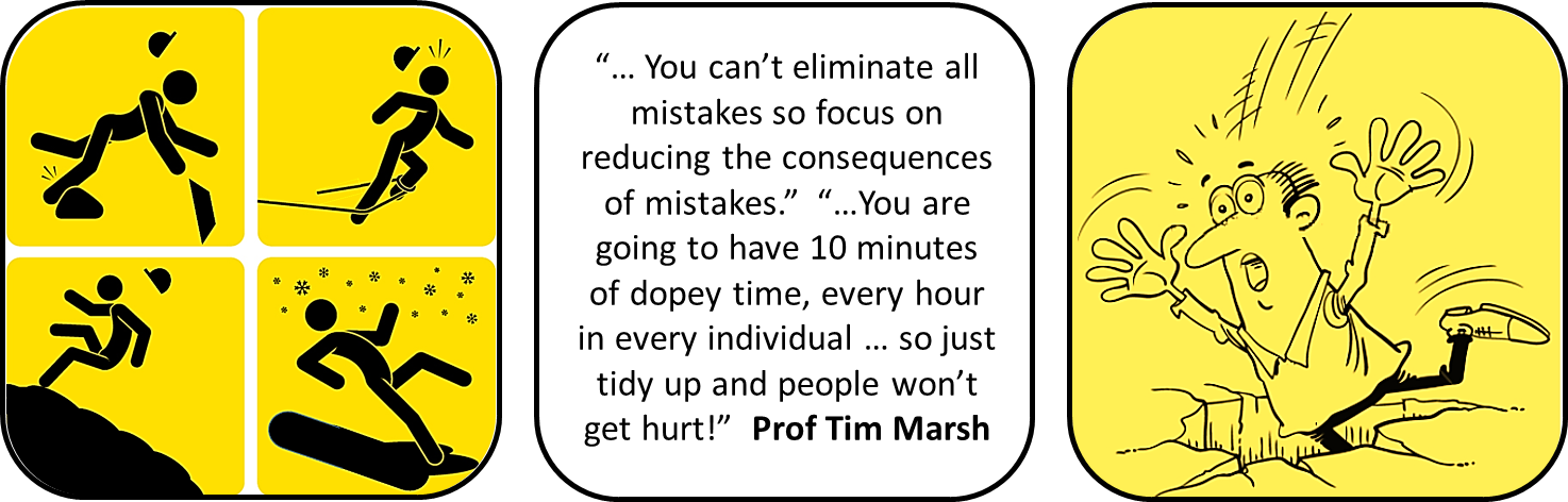 Noggin (1474x472), Png Download