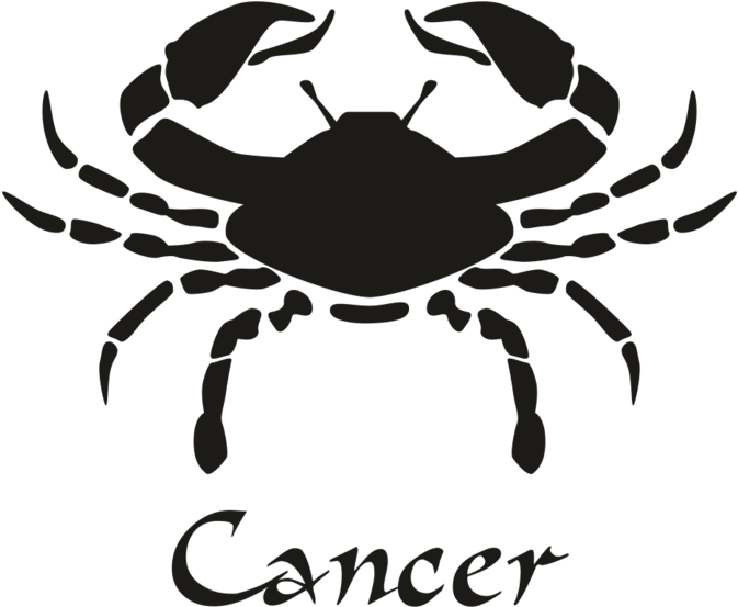 Previous (760x760), Png Download
