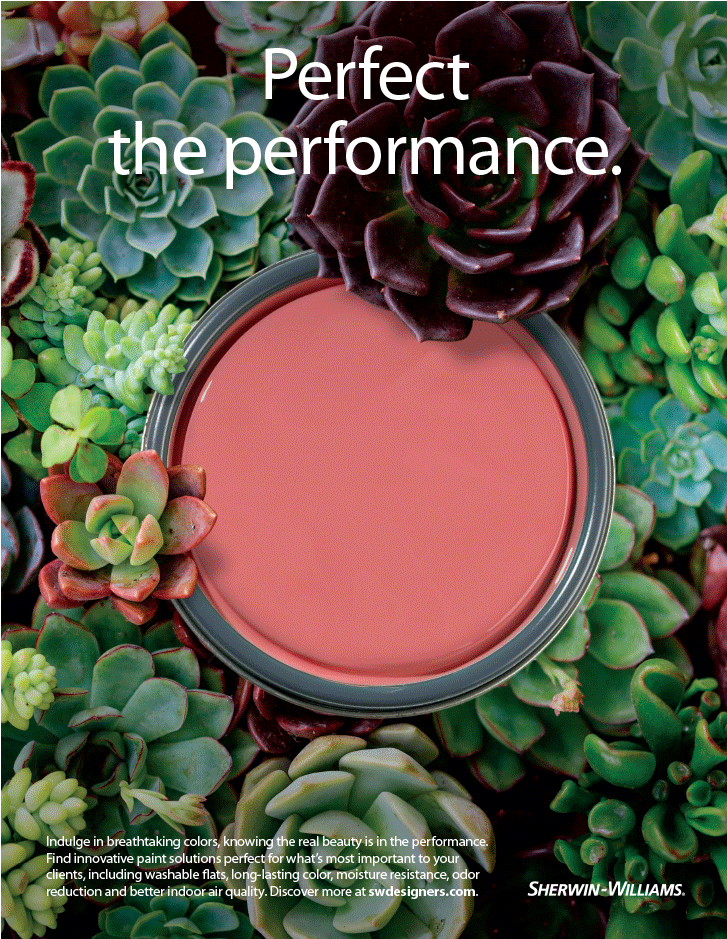 Aerial View Of Orange Paint Lid On A Bed Of Succulents (1920x1080), Png Download