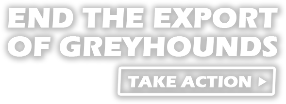 End Greyhound Exports (1900x400), Png Download