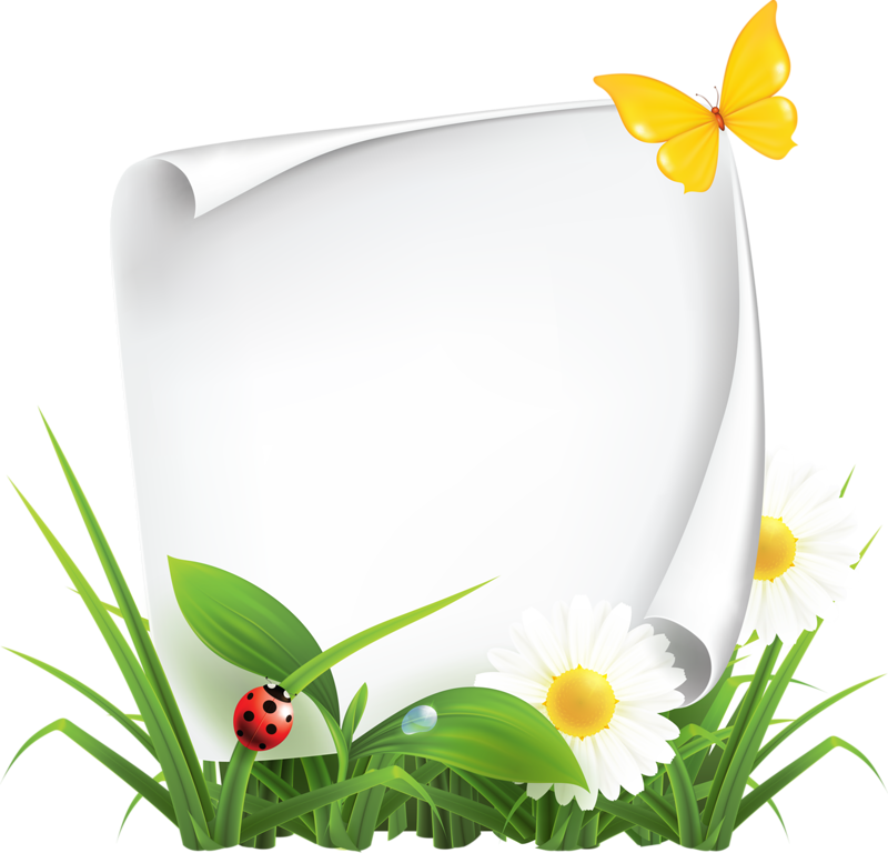 Saline Picture Office Depot (800x768), Png Download