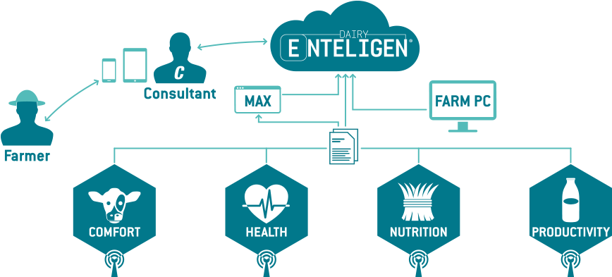 Dairy Enteligen, How It Works (1280x400), Png Download