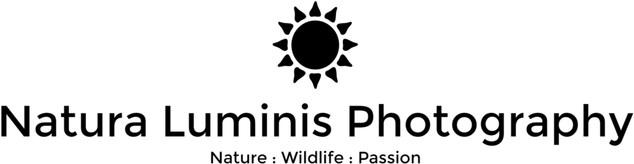 Natura Logo Png (1000x321), Png Download