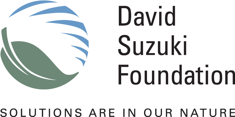 Dsf Logo Rgb (812x410), Png Download