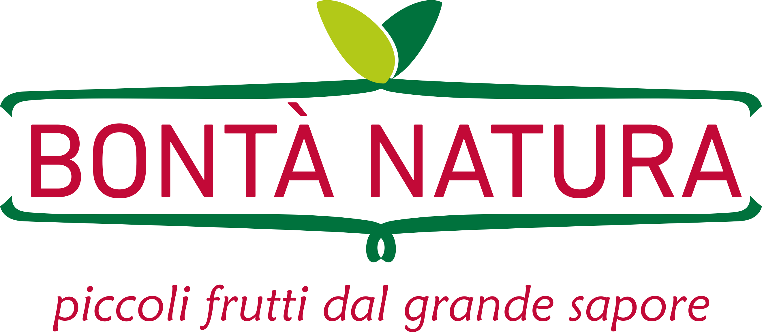 Bonta Natura Logo Pay (2642x1150), Png Download