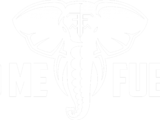 John Cena Clipart Elephant (640x480), Png Download