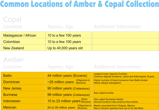 Copal And Amber Are Found In A Number Of Locations (679x467), Png Download
