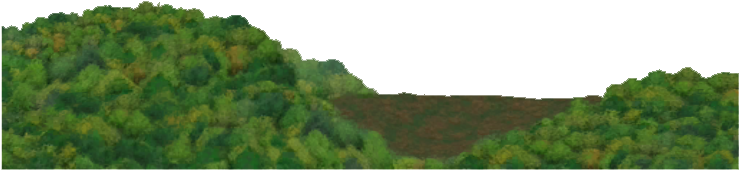 Temperate Forest Background - Forest Background Hd Png (738x738), Png Download