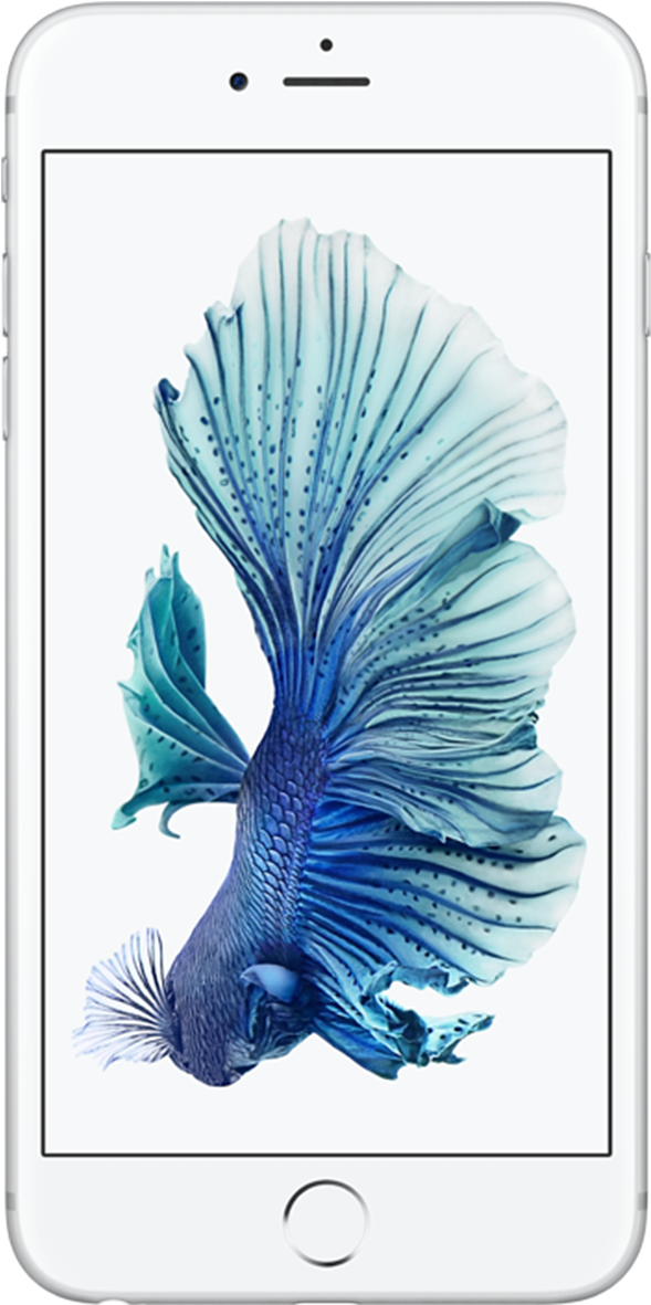 Apple Iphone 6s Plus - Iphone 6 Silver (1100x1240), Png Download