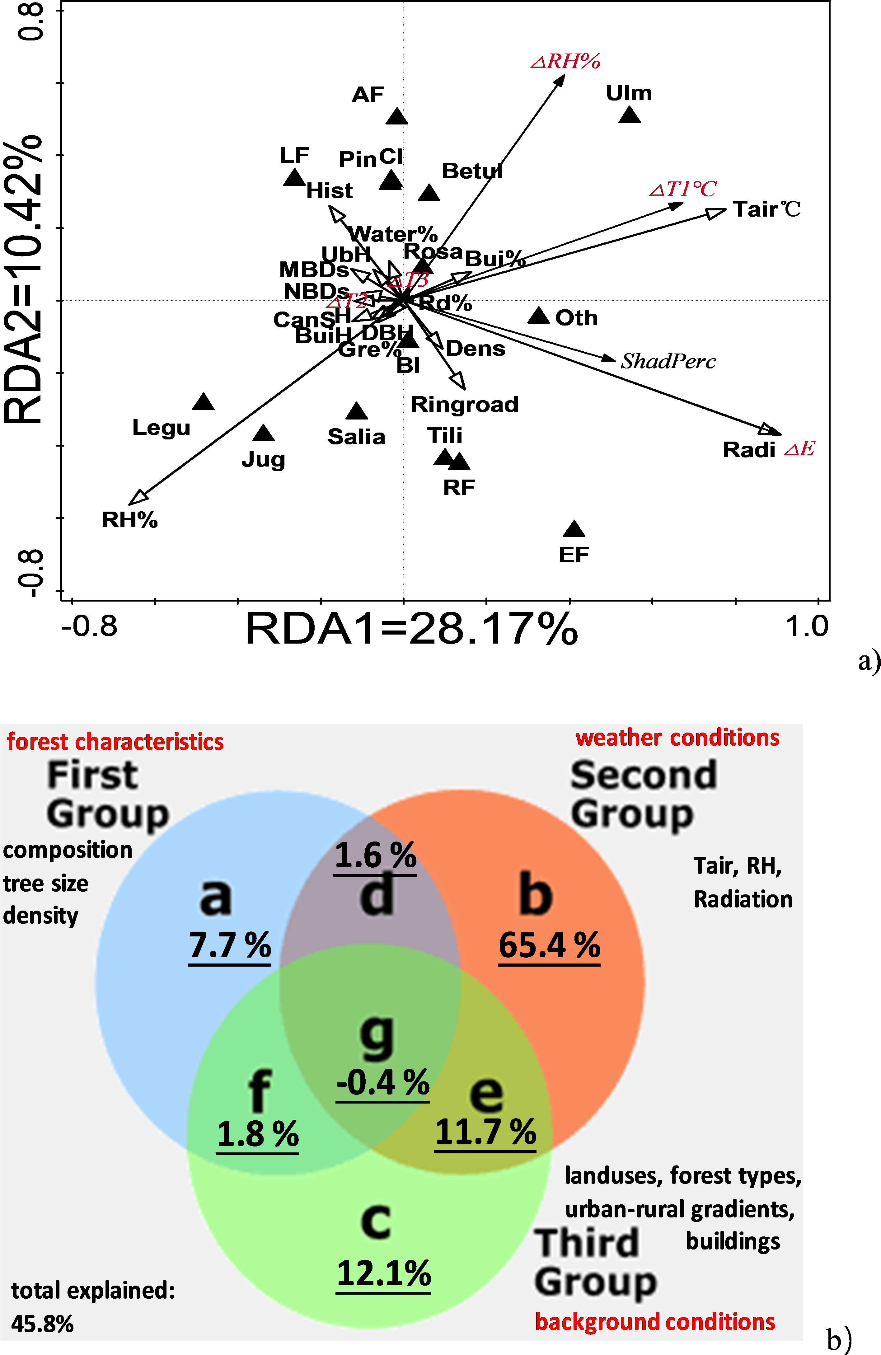 Download Full-size Image - Forest (2831x4354), Png Download