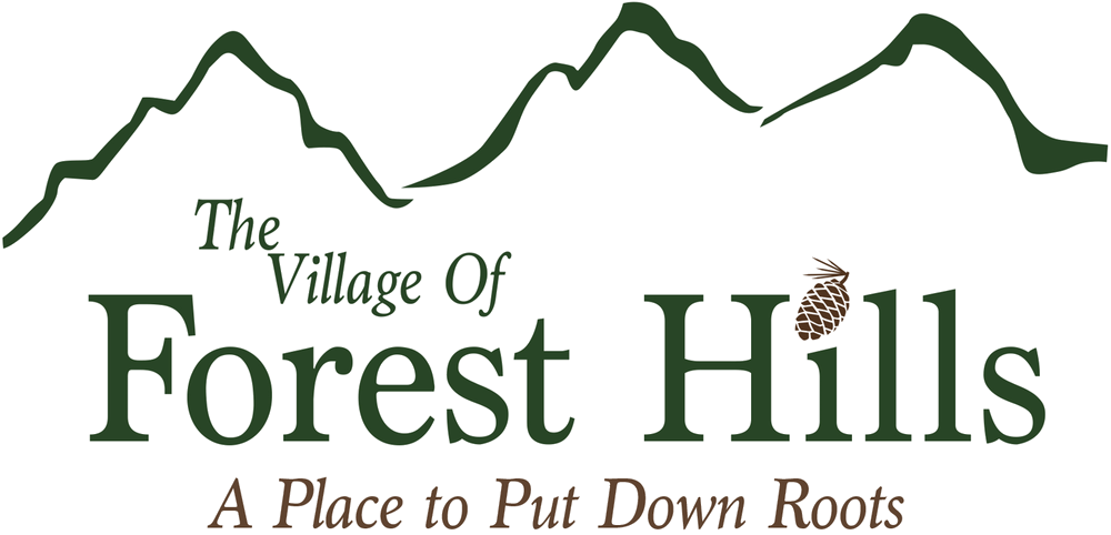 Logo With Tag Line Transparent Background - Numeros Triangulares (1000x482), Png Download