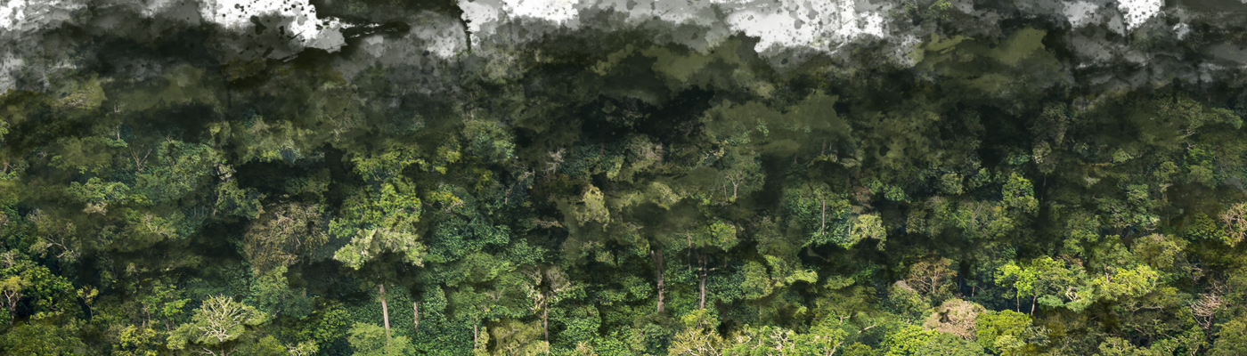 Odzala-kokoua National Park (1400x400), Png Download