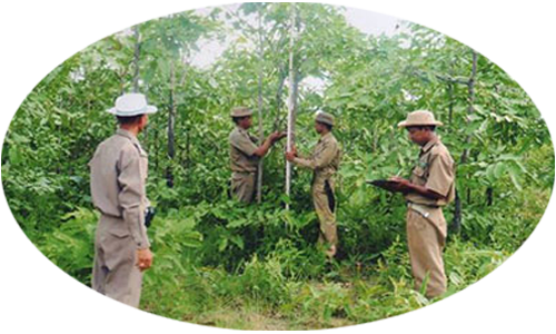 Central Dry Zone Of Myanmar Has Very Harsh Climatic - Infantry (500x300), Png Download