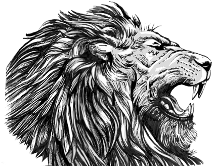 Welcome To Lix Creative - Masai Lion (1100x511), Png Download