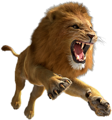 Lion Png (480x480), Png Download