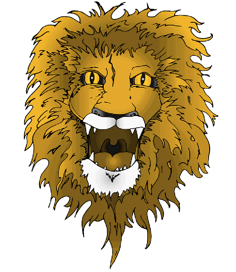 Mb Image/png - Melena De Leon Png (800x932), Png Download