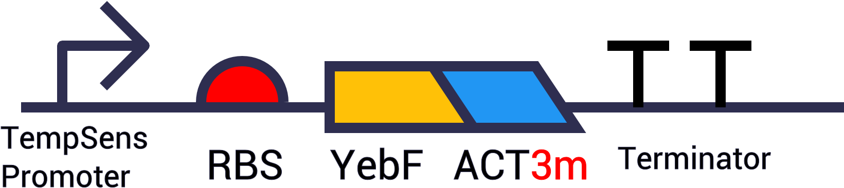 Full Granzyme B Inhibitor Device (1920x540), Png Download