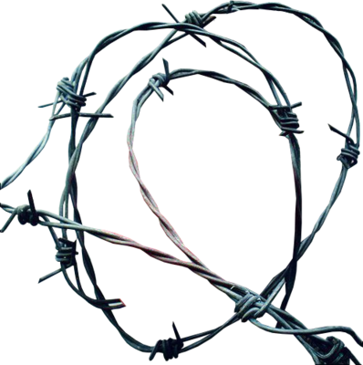 Barbwire Png Cutouts - Barb Wire Png (398x400), Png Download
