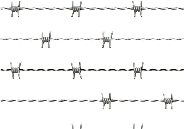 Barbwire Png Transparent Images - Galvanized Barbed Wire Png (640x480), Png Download