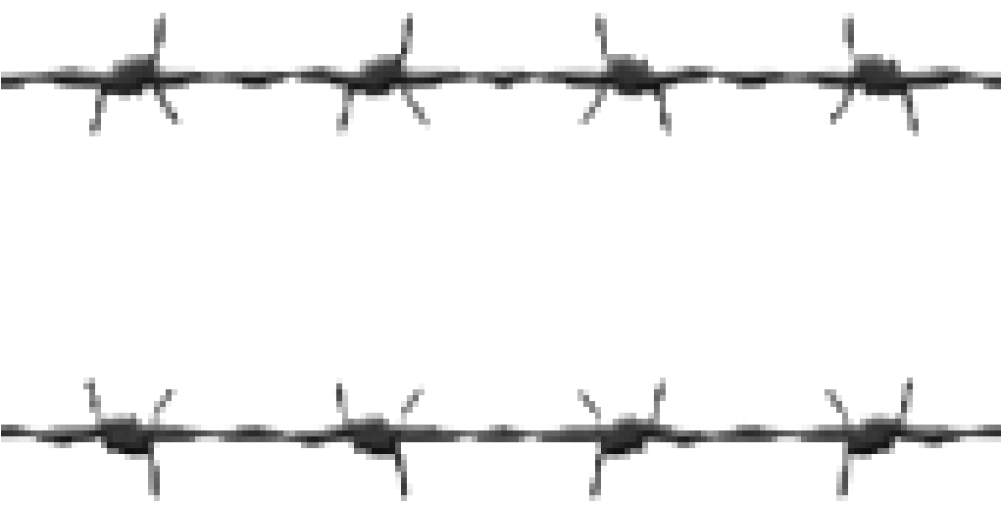 Barbwire Transparent Images - Portable Network Graphics (1000x1000), Png Download