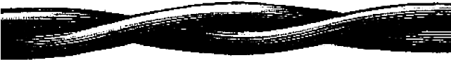 Barb Wire Clipart Transparent Background - Networking Cables (640x480), Png Download