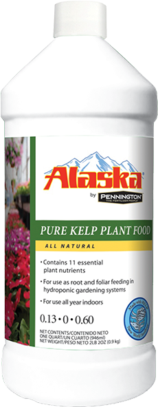 Alaska (600x600), Png Download