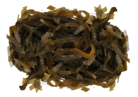 Kelp - « - Da Hong Pao (552x669), Png Download