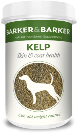 Kelp (500x500), Png Download