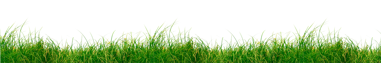 Grass-2 - Sweet Grass (1280x370), Png Download