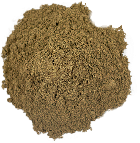 8/5 - Seaweed (600x600), Png Download