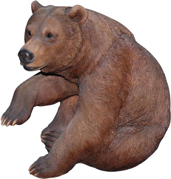 Bear Png - Bear (975x870), Png Download