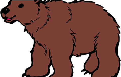 Baby Brown Bear Shower Curtain (580x305), Png Download