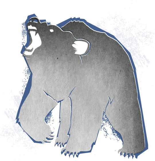 Download Spirit Bear - Mail Bag - Full Size PNG Image - PNGkit