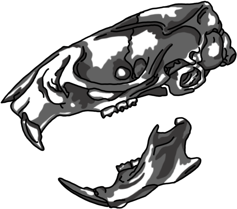 Png Transparent Stock Gathering Item Rat By Hellsdementedangel - Drawing (894x894), Png Download