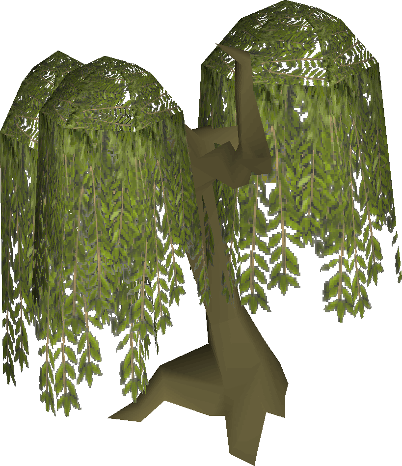 Willow Tree - Willow Tree Runescape (819x949), Png Download