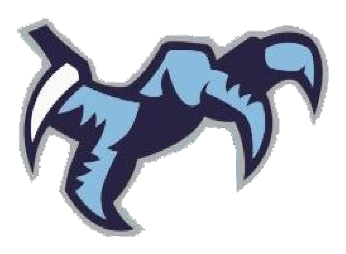 Chapin High - Chapin Eagles (1376x947), Png Download