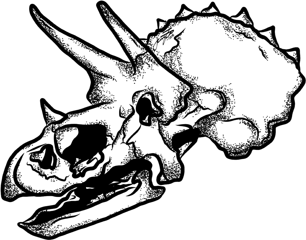 Svg Freeuse Download Claw Drawing Skull - Drawing (1400x1050), Png Download