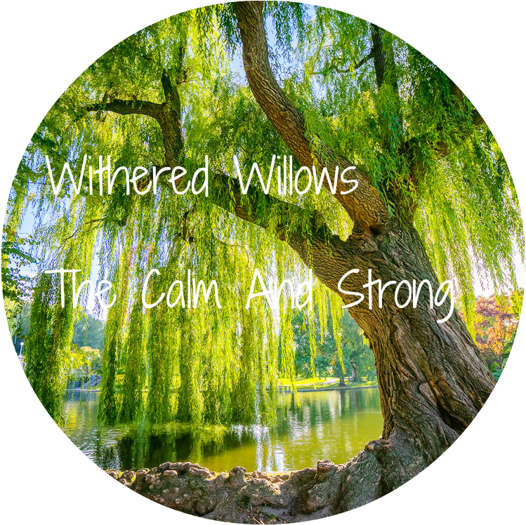 Willowtree - Desktop Background Boston Public Gardens (1200x800), Png Download