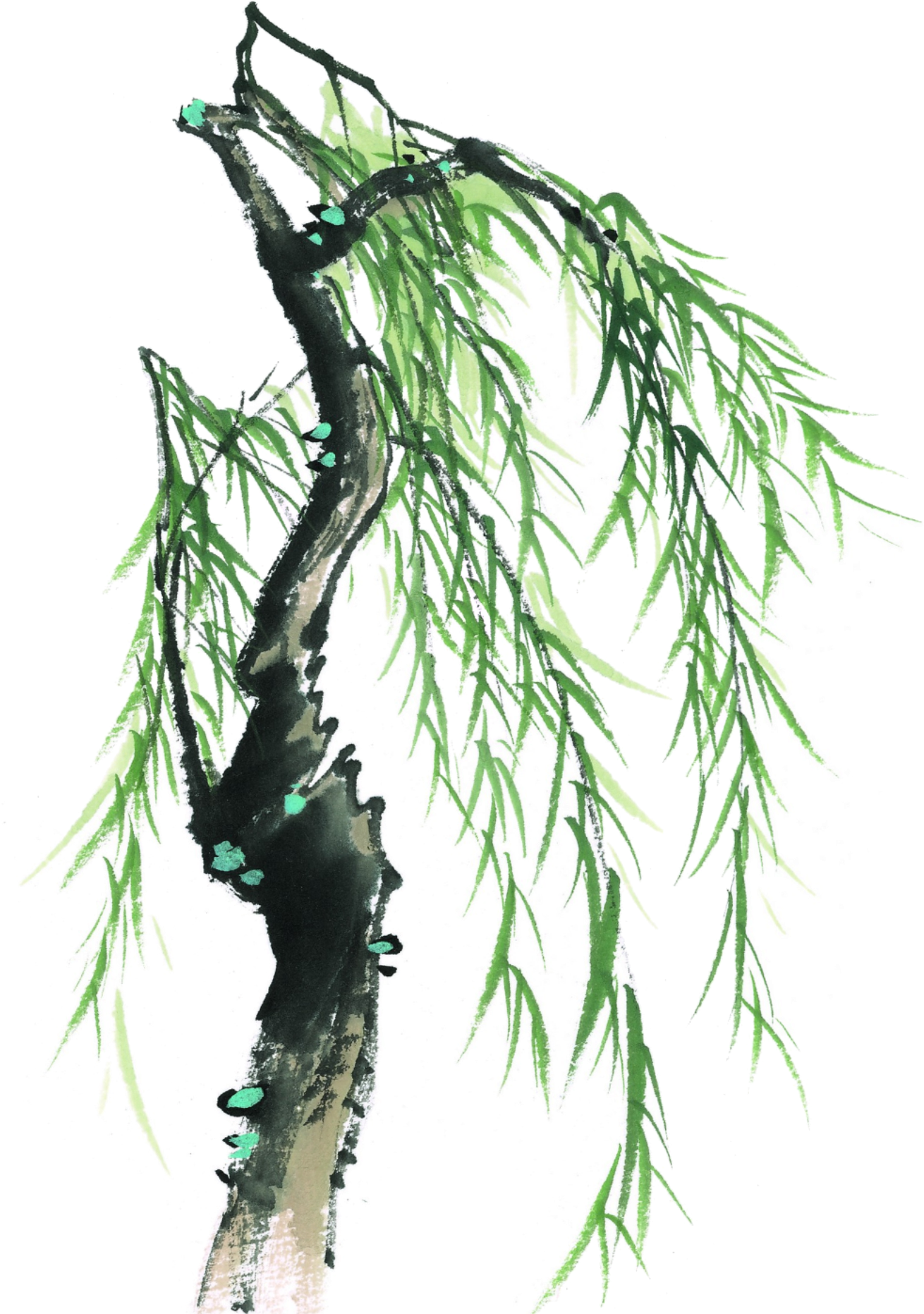 Download This Graphics Is Painted Willow Tree Element Design 素材 柳樹 Full Size Png Image Pngkit