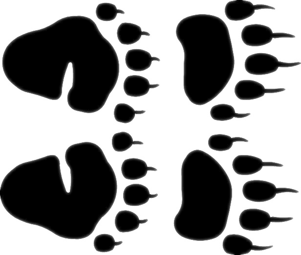 Tracks And Prints - Black Bear Paw Prints (616x523), Png Download
