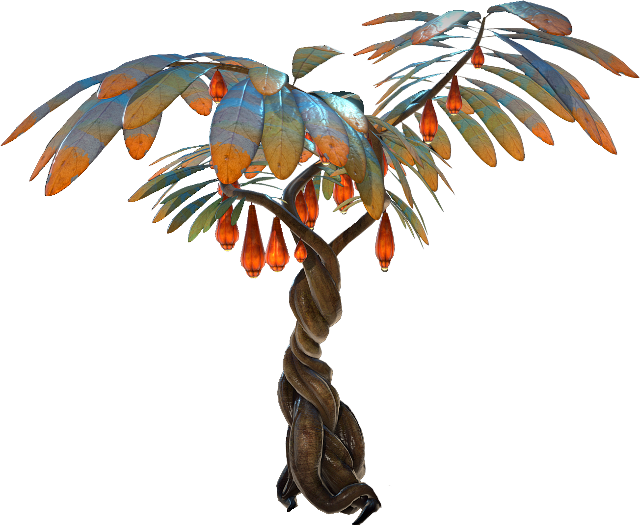 Hanging Fruit Tree Flora - Chilean Lantern Tree (1335x1080), Png Download