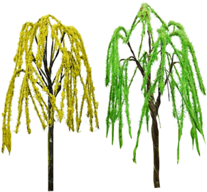 Green Weeping Willow Tree Architectural Mini Trees - Pond Pine (350x350), Png Download