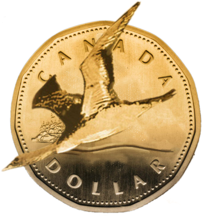 Oil And U (940x705), Png Download