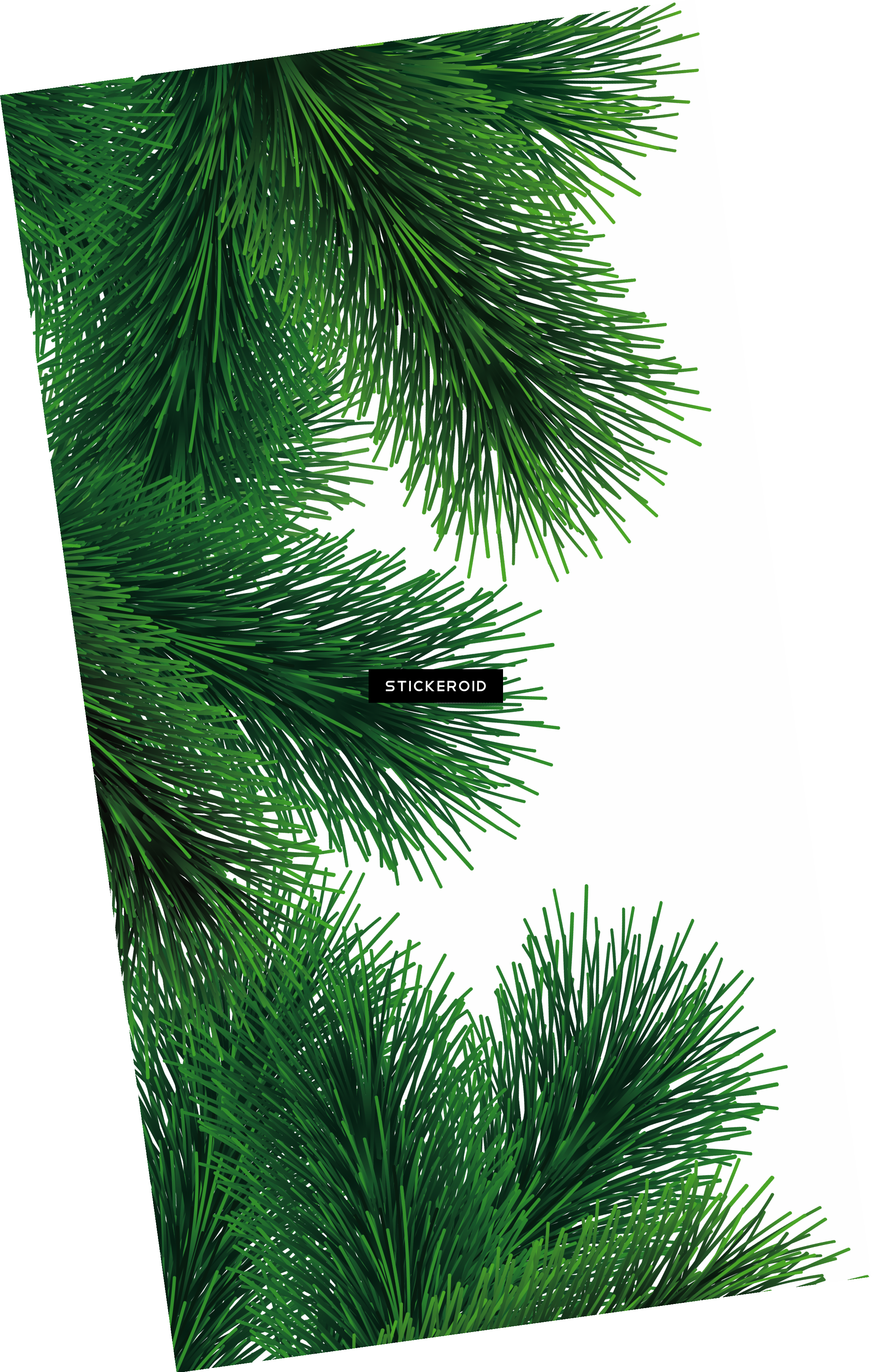 Fir-tree (2335x3672), Png Download