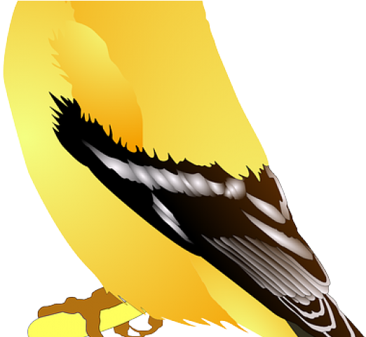 Birb Png (640x480), Png Download