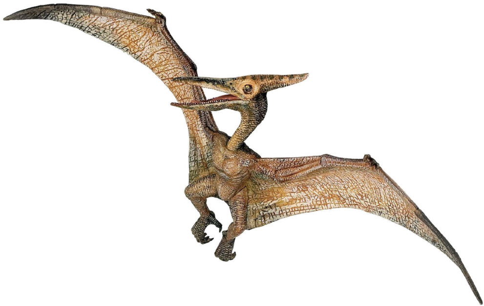 Jurassic Park Playfield Pterodactyl (1024x718), Png Download