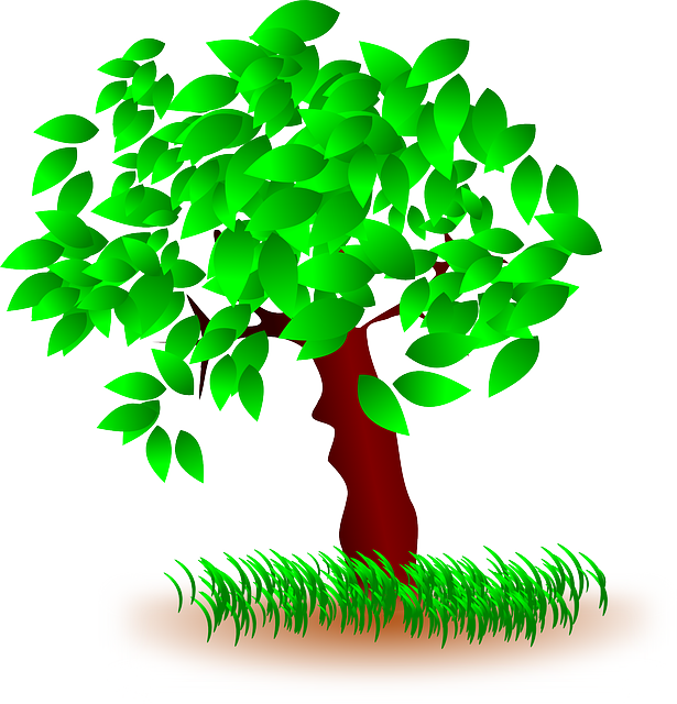 Tree, Leaves, Grass, Nature, Wood, Green (615x640), Png Download