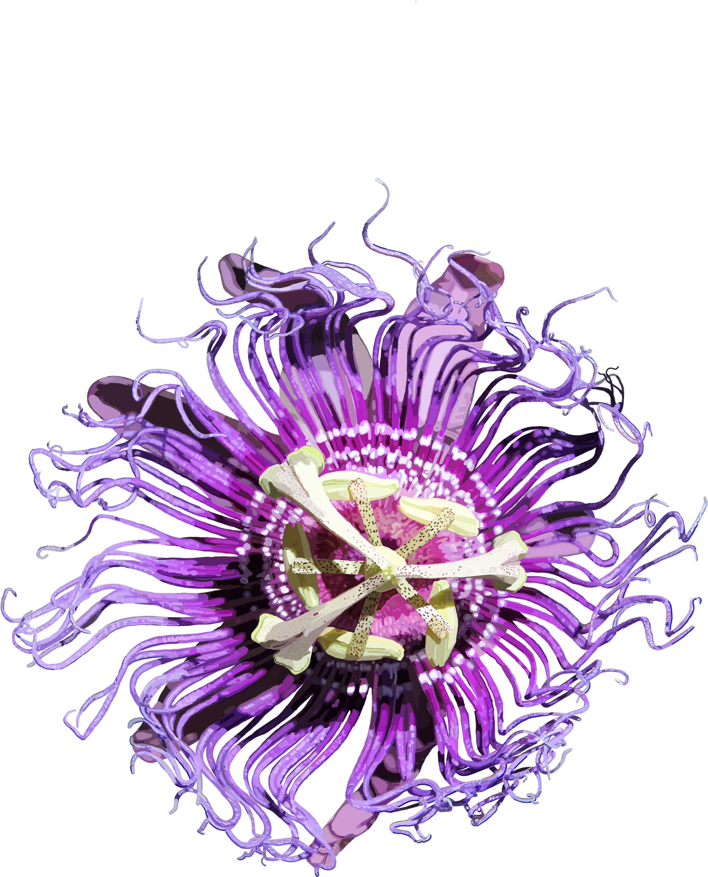 This Is Cthulhu's Favorite Flower (2400x3600), Png Download